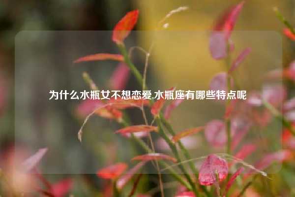 为什么水瓶女不想恋爱,水瓶座有哪些特点呢