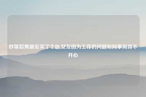 吵架后男朋友买了个包,女友因为工作的问题和同事闹得不开心