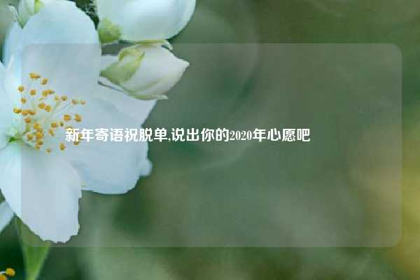 新年寄语祝脱单,说出你的2020年心愿吧😊