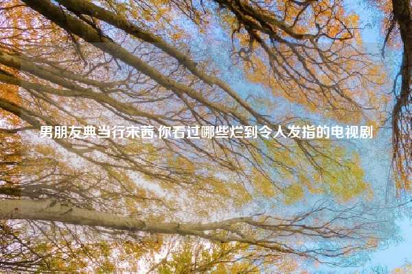 男朋友典当行宋茜,你看过哪些烂到令人发指的电视剧