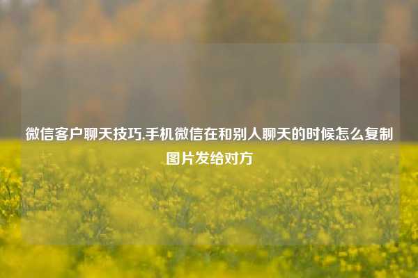 微信客户聊天技巧,手机微信在和别人聊天的时候怎么复制图片发给对方