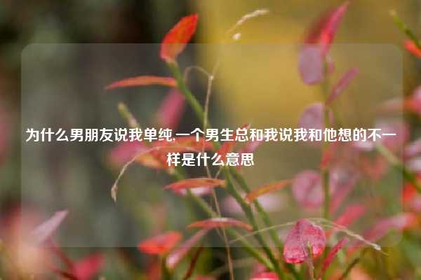 为什么男朋友说我单纯,一个男生总和我说我和他想的不一样是什么意思