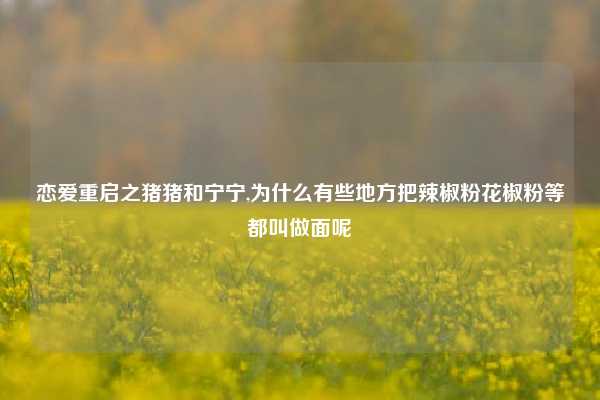 恋爱重启之猪猪和宁宁,为什么有些地方把辣椒粉花椒粉等都叫做面呢