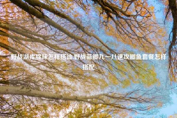 野战湖库腥味怎样搭讪,野战蓝鲫九一八速攻鲫鱼套餐怎样搭配