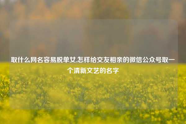 取什么网名容易脱单女,怎样给交友相亲的微信公众号取一个清新文艺的名字
