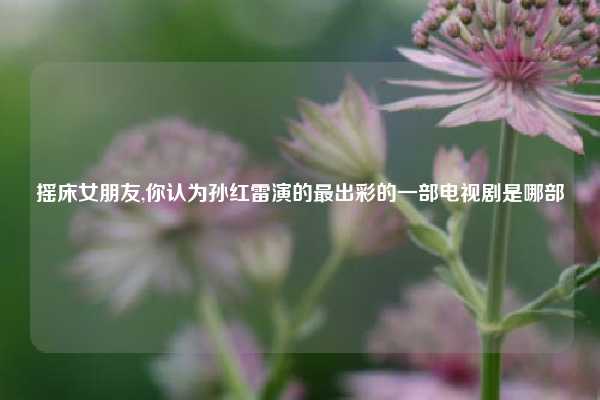 摇床女朋友,你认为孙红雷演的最出彩的一部电视剧是哪部