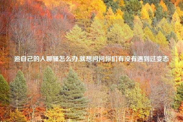 追自己的人聊骚怎么办,就想问问你们有没有遇到过变态