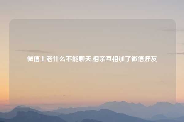 微信上老什么不能聊天,相亲互相加了微信好友