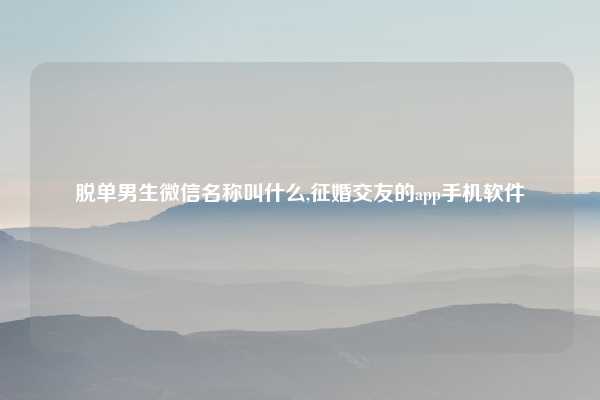脱单男生微信名称叫什么,征婚交友的app手机软件