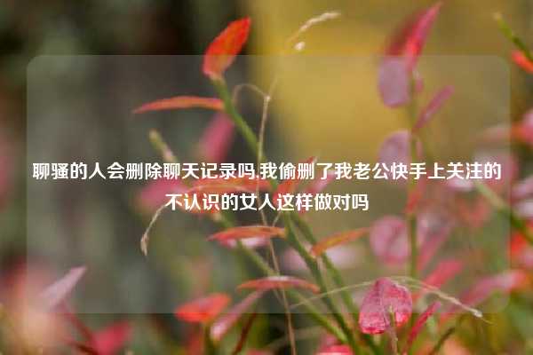 聊骚的人会删除聊天记录吗,我偷删了我老公快手上关注的不认识的女人这样做对吗