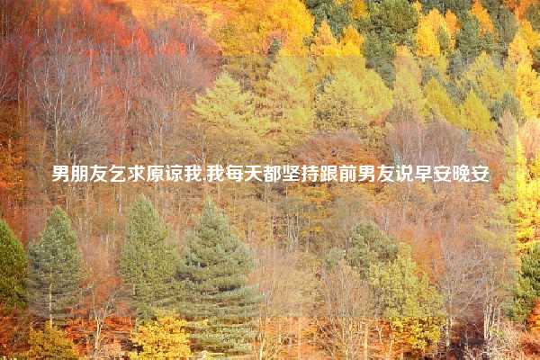男朋友乞求原谅我,我每天都坚持跟前男友说早安晚安