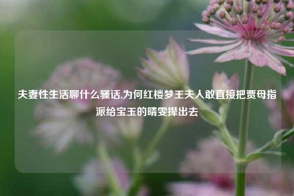 夫妻性生活聊什么骚话,为何红楼梦王夫人敢直接把贾母指派给宝玉的晴雯撵出去