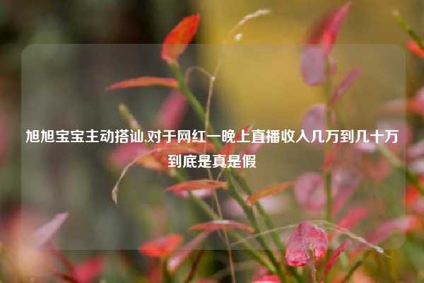 旭旭宝宝主动搭讪,对于网红一晚上直播收入几万到几十万到底是真是假