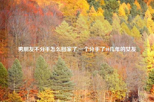 男朋友不分手怎么回家了,一个分手了10几年的女友