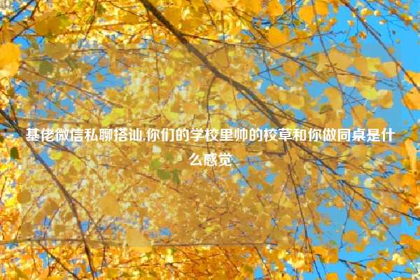 基佬微信私聊搭讪,你们的学校里帅的校草和你做同桌是什么感觉