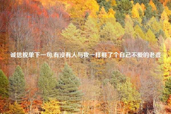 诚信脱单下一句,有没有人与我一样娶了个自己不爱的老婆