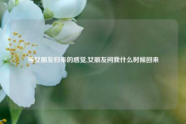 等女朋友归来的感觉,女朋友问我什么时候回来
