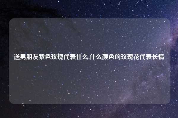 送男朋友紫色玫瑰代表什么,什么颜色的玫瑰花代表长情