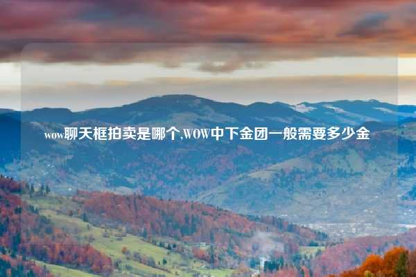 wow聊天框拍卖是哪个,WOW中下金团一般需要多少金