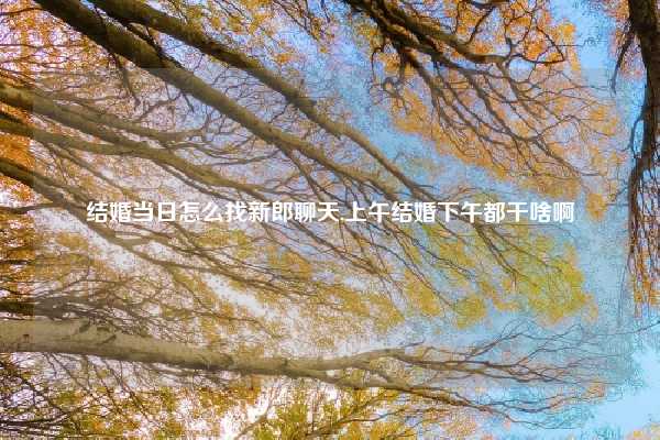 结婚当日怎么找新郎聊天,上午结婚下午都干啥啊