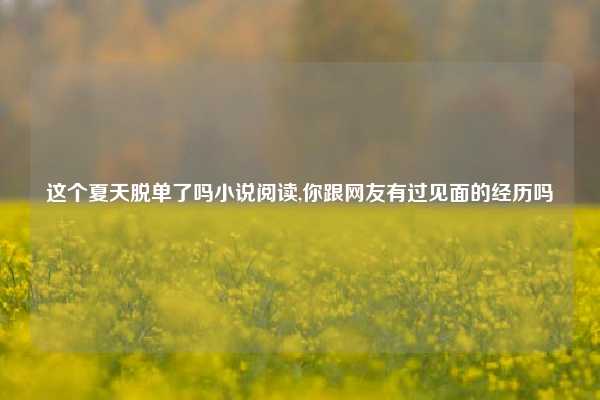 这个夏天脱单了吗小说阅读,你跟网友有过见面的经历吗
