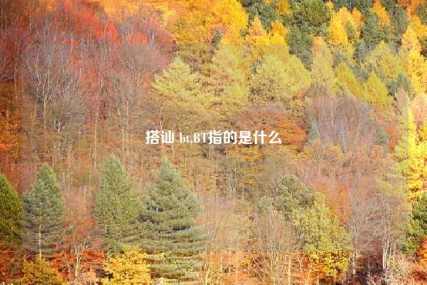 搭讪 bt,BT指的是什么