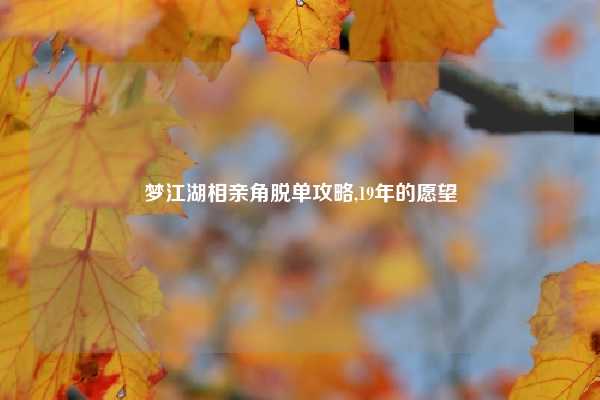 梦江湖相亲角脱单攻略,19年的愿望