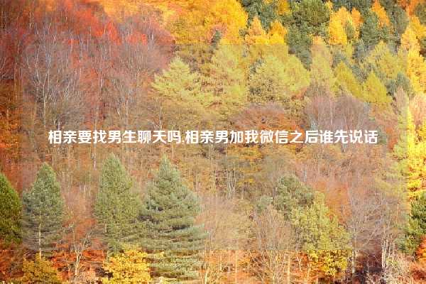 相亲要找男生聊天吗,相亲男加我微信之后谁先说话