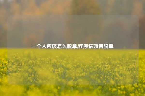一个人应该怎么脱单,程序猿如何脱单