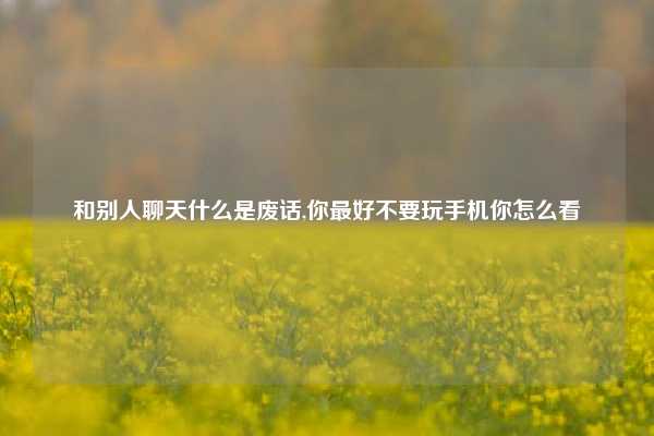 和别人聊天什么是废话,你最好不要玩手机你怎么看