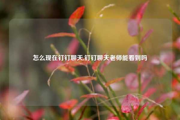 怎么现在钉钉聊天,钉钉聊天老师能看到吗