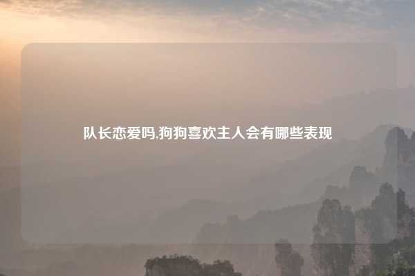队长恋爱吗,狗狗喜欢主人会有哪些表现