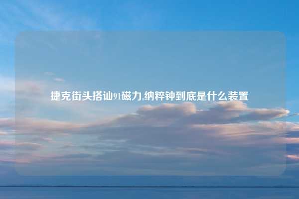 捷克街头搭讪91磁力,纳粹钟到底是什么装置