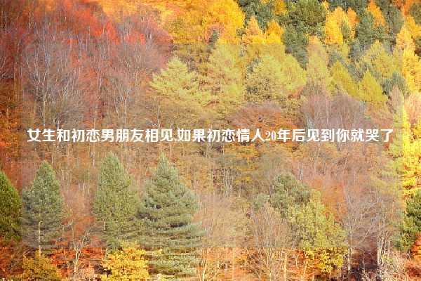 女生和初恋男朋友相见,如果初恋情人20年后见到你就哭了