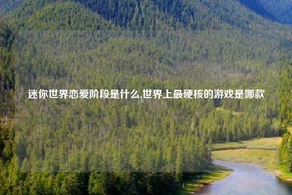 迷你世界恋爱阶段是什么,世界上最硬核的游戏是哪款