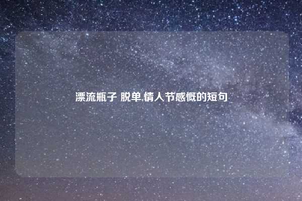 漂流瓶子 脱单,情人节感慨的短句