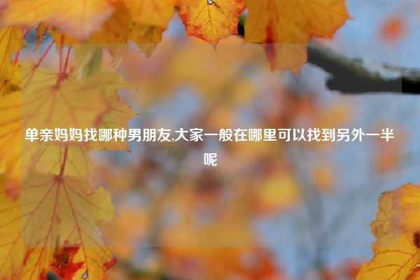 单亲妈妈找哪种男朋友,大家一般在哪里可以找到另外一半呢