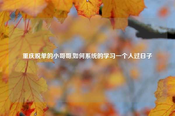 重庆脱单的小哥哥,如何系统的学习一个人过日子