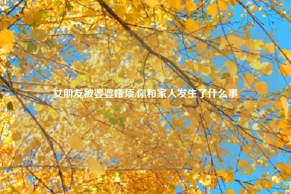 女朋友被婆婆嫌烦,你和家人发生了什么事