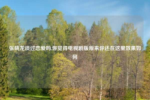 张晓龙谈过恋爱吗,你觉得电视剧版原来你还在这里效果如何