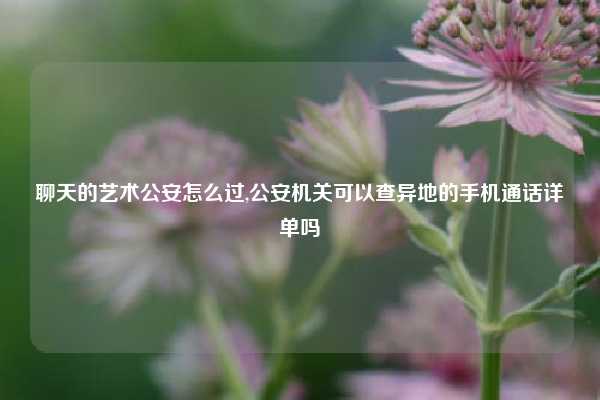 聊天的艺术公安怎么过,公安机关可以查异地的手机通话详单吗