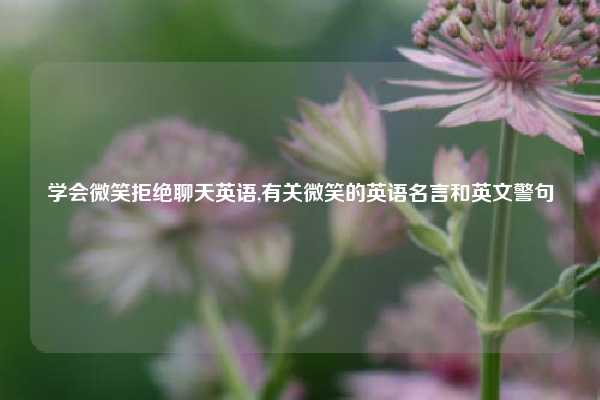 学会微笑拒绝聊天英语,有关微笑的英语名言和英文警句