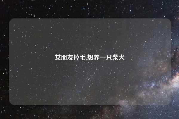 女朋友掉毛,想养一只柴犬