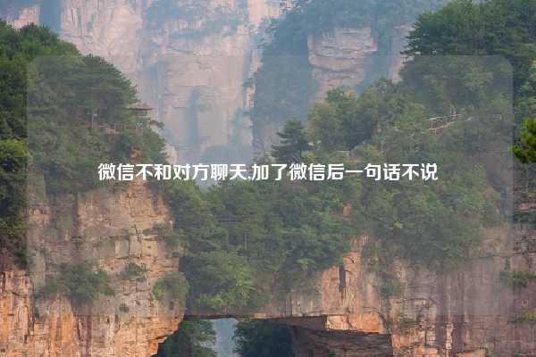 微信不和对方聊天,加了微信后一句话不说