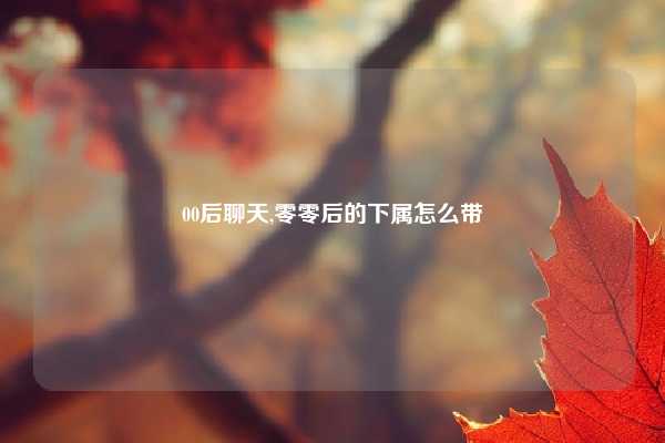 00后聊天,零零后的下属怎么带