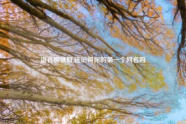 语音聊骚群,还记得你的第一个网名吗