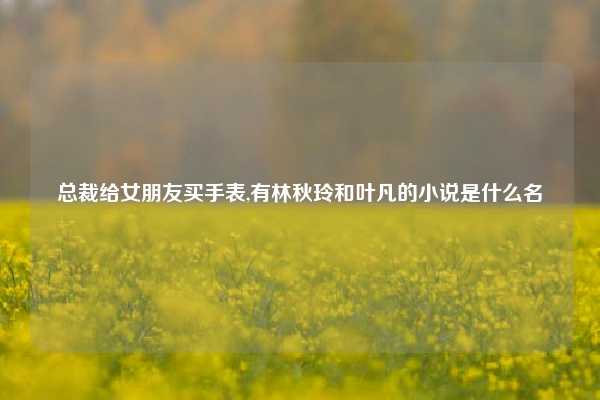 总裁给女朋友买手表,有林秋玲和叶凡的小说是什么名