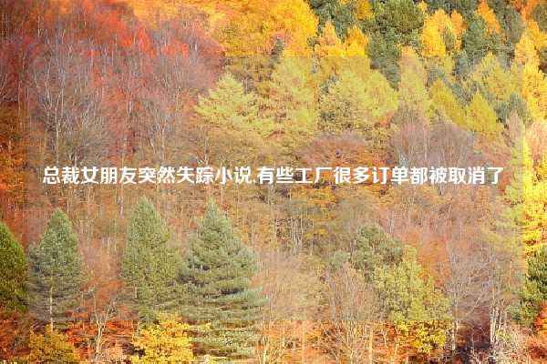 总裁女朋友突然失踪小说,有些工厂很多订单都被取消了