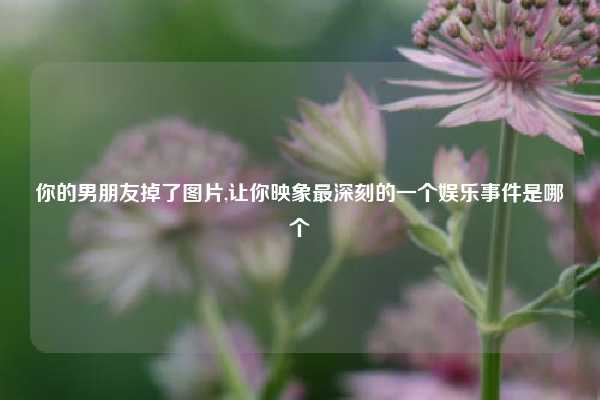 你的男朋友掉了图片,让你映象最深刻的一个娱乐事件是哪个