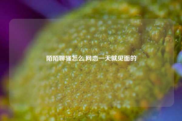 陌陌聊骚怎么,网恋一天就见面的